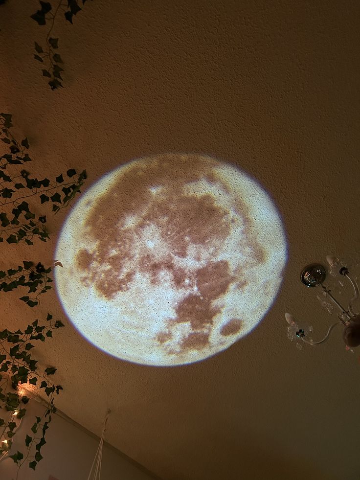 NightCalm Planetarium Projector With 12 Interchangeable Projection Scenes